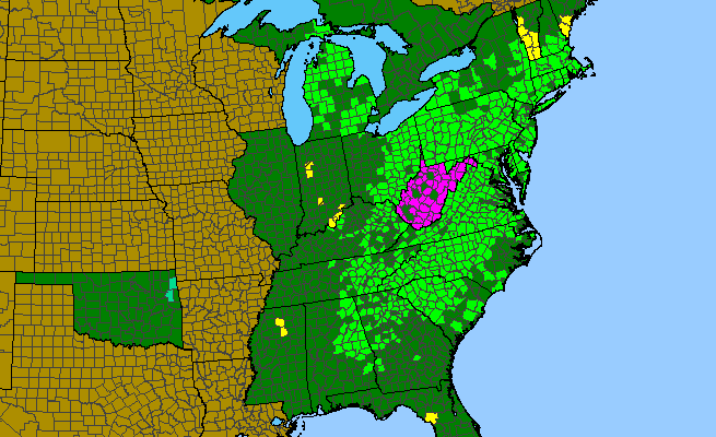 The range of Hieracium venosum